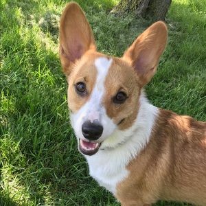 Meet your Posher, Natalie